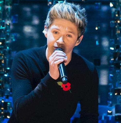 Niall Horan-33