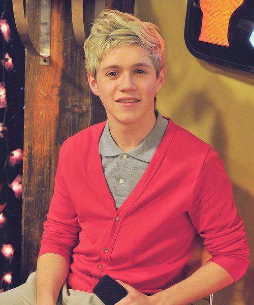 Niall Horan-35