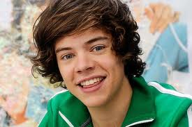 Harry Styles-4
