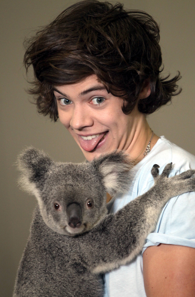 Harry Styles-8