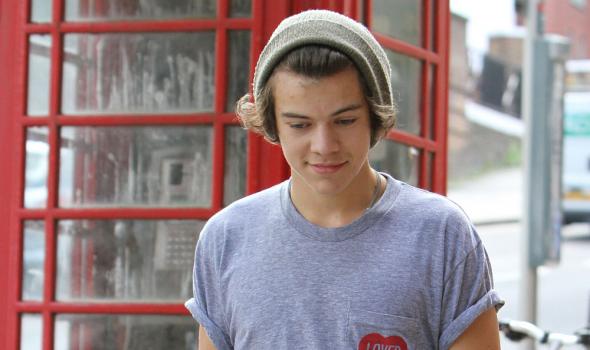 Harry Styles-13