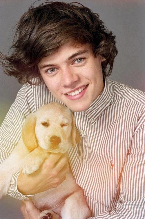 Harry Styles-88
