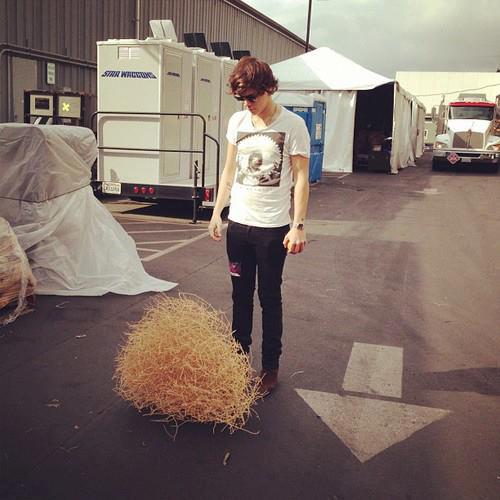 Harry Styles-92