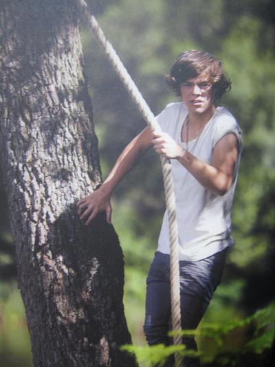 Harry Styles-107