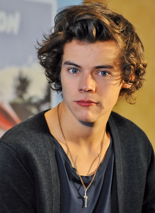 Harry Styles-190