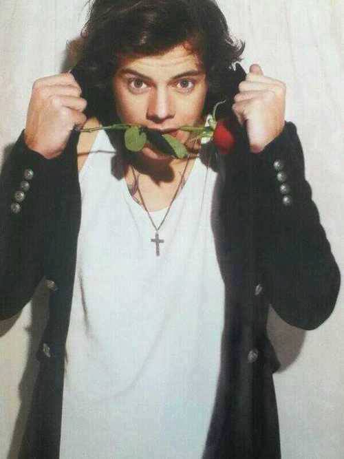Harry Styles-221
